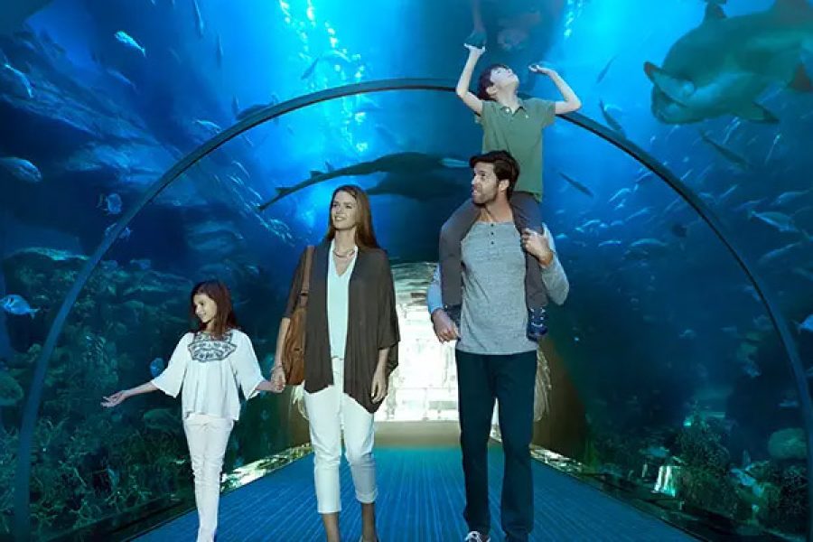 Dubai Aquarium