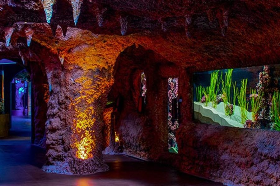 The National Aquarium Abu Dhabi