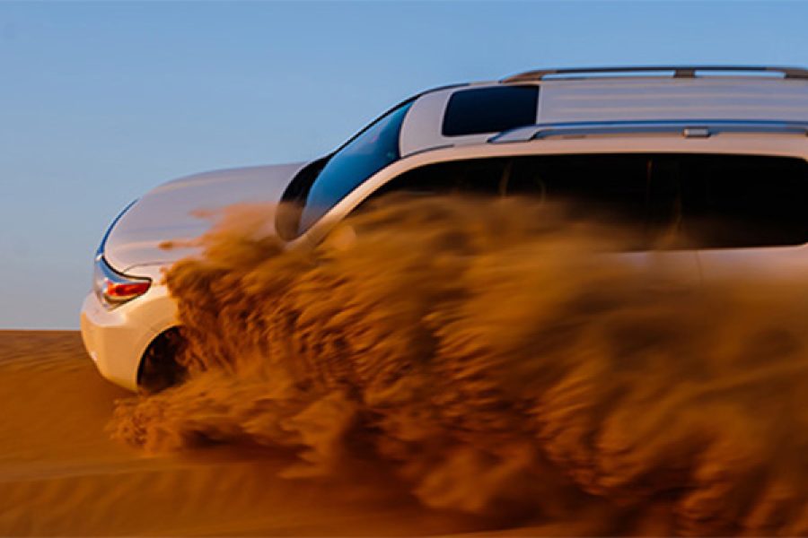 Evening Desert Safari