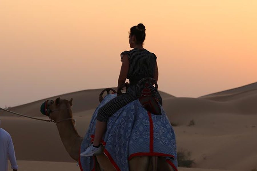 Camel Trekking