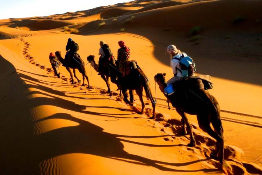 Private Desert Safari Dubai