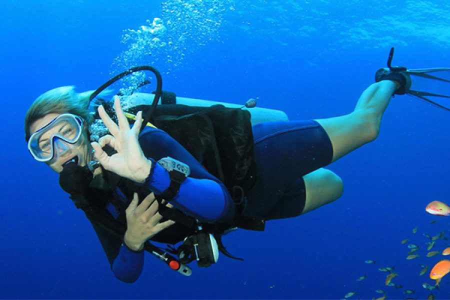 Scuba Diving Tour
