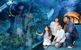 Wildlife Zoo & Aquarium